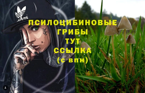 кокаин колумбия Алексин