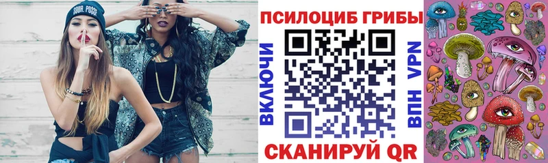 блэк спрут ТОР  Карачаевск  Галлюциногенные грибы прущие грибы 