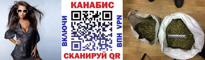 ссылка на мегу зеркало  Карачаевск  Бошки марихуана конопля 